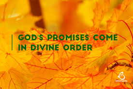 This image has an empty alt attribute; its file name is divineorder.jpg